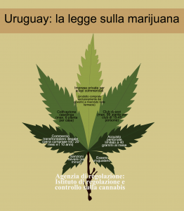 marijuana uruguay
