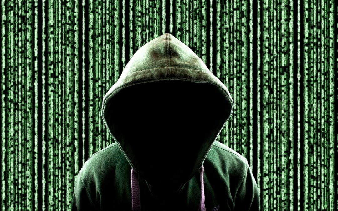 Se gli hacker combattessero il crimine organizzato